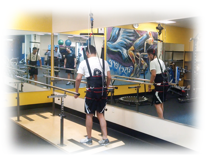 FreeStep SAS - Supported Ambulation System