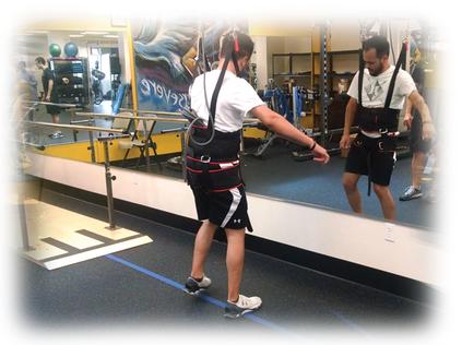 FreeStep SAS - Supported Ambulation System