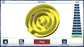 Biodex Ball Maze
